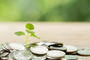 Grassroots Groups Win £7K Boost to Improve South Cambridgeshire Communities